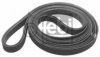 FEBI BILSTEIN 19034 V-Ribbed Belts